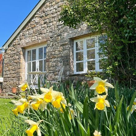 אברגאבני The Billiard Room - Cosy Country Retreat מראה חיצוני תמונה