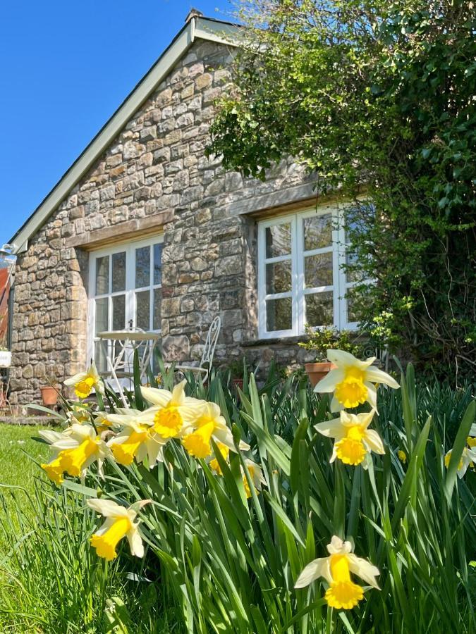 אברגאבני The Billiard Room - Cosy Country Retreat מראה חיצוני תמונה